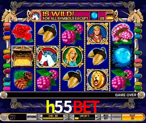 VIP Casino h55bet